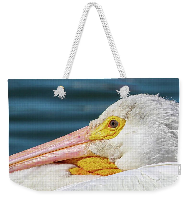 Check out this #NewListing in my shop of an #Americanwhitepelican 'Pelican Beautiful' 💛 This weekender #totebag is available as well as #wallart #homedeor #mugs and more! 💛 #AYearForArt #BuyIntoArt #wildlifephotography #gifts #valentinesdaygifts 3-joanne-carey.pixels.com 💛