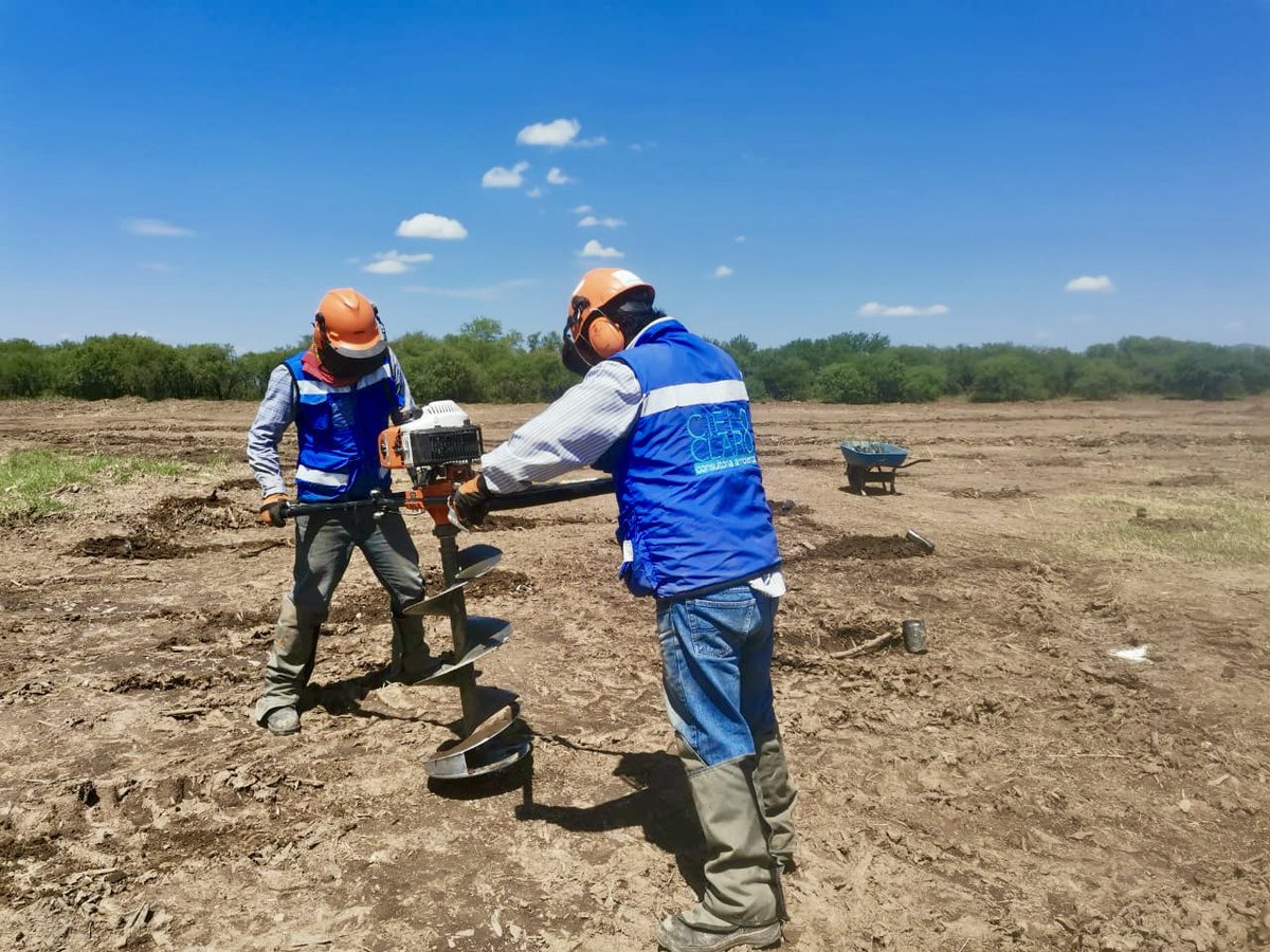 cieloclaromx's tweet photo. Realizamos reforestaciones forestales de gran escala, contáctanos al email contacto@cieloclaro.mx, #SomosCIELOCLARO #12años de experiencia, https://t.co/7WBbMRc4mp #Reforestación https://t.co/kUlMaTCTxz