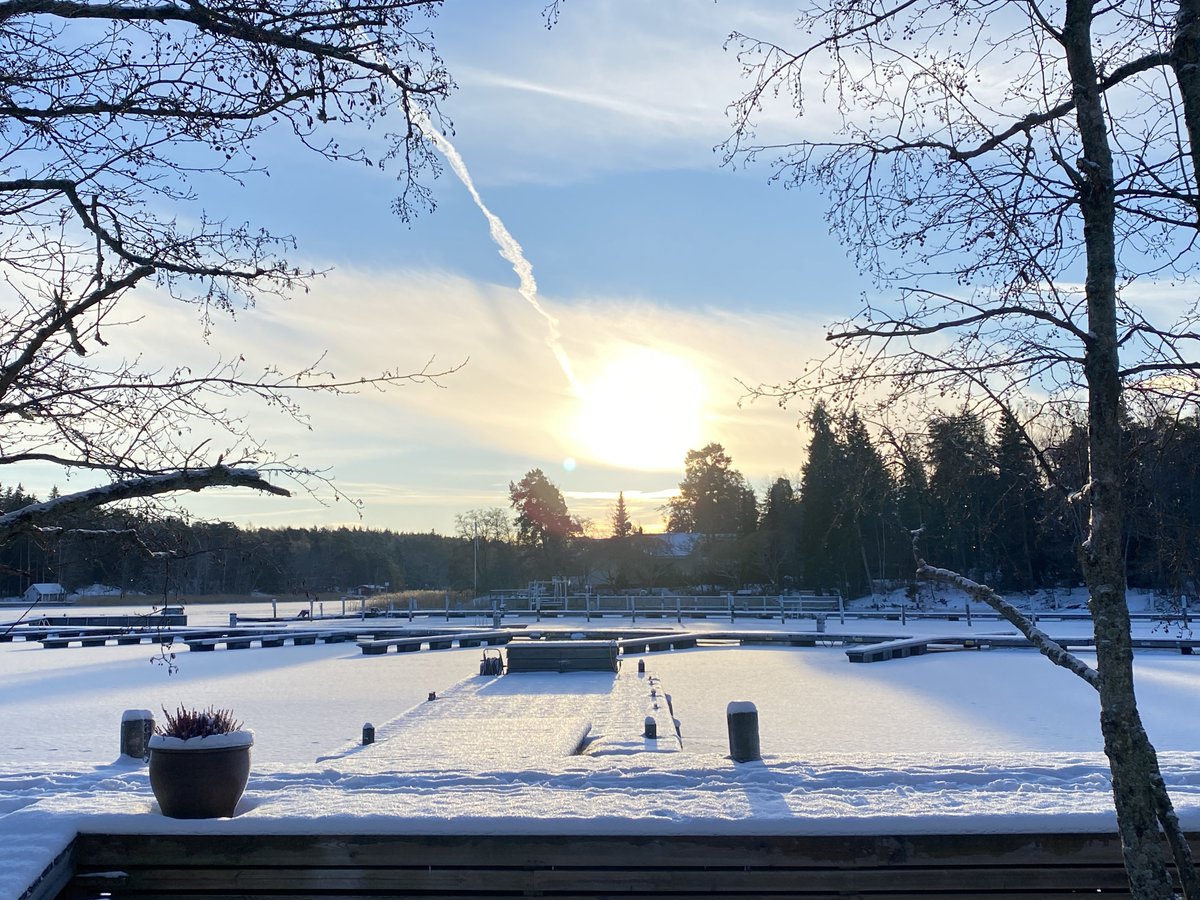 Susanna__M__'s tweet photo. Ulkoilua ☀️😎
#Ruissalo #turunlinna #Turku #tammikuu2024
#pakkaspäivä https://t.co/ww1hh0UDvw