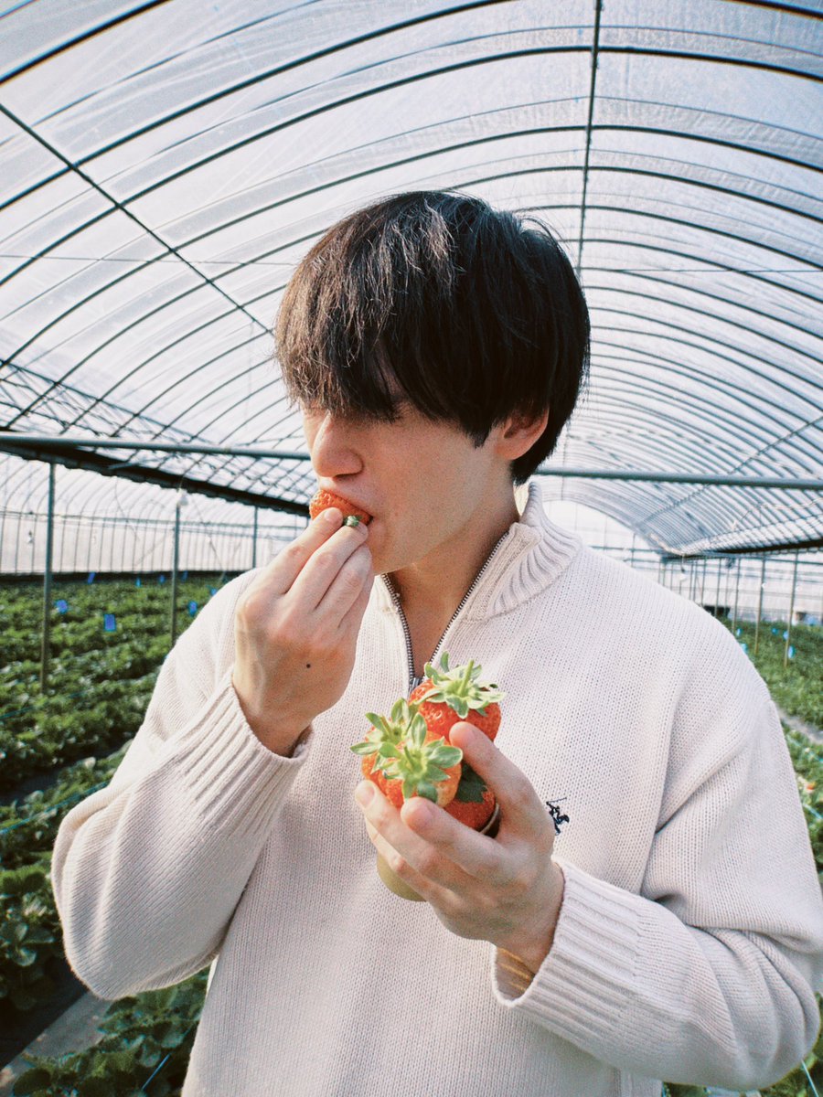 PerthNakhun's tweet photo. 人生初のいちご狩り🍓 https://t.co/29PEdSYLmf