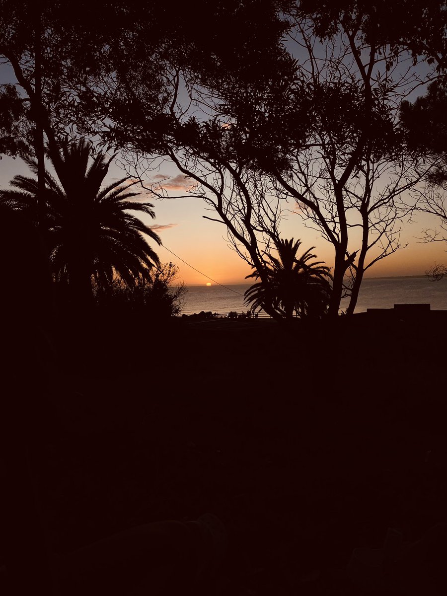 Frqncx_'s tweet photo. ❤️🌅🧉 https://t.co/buTtjwfurl