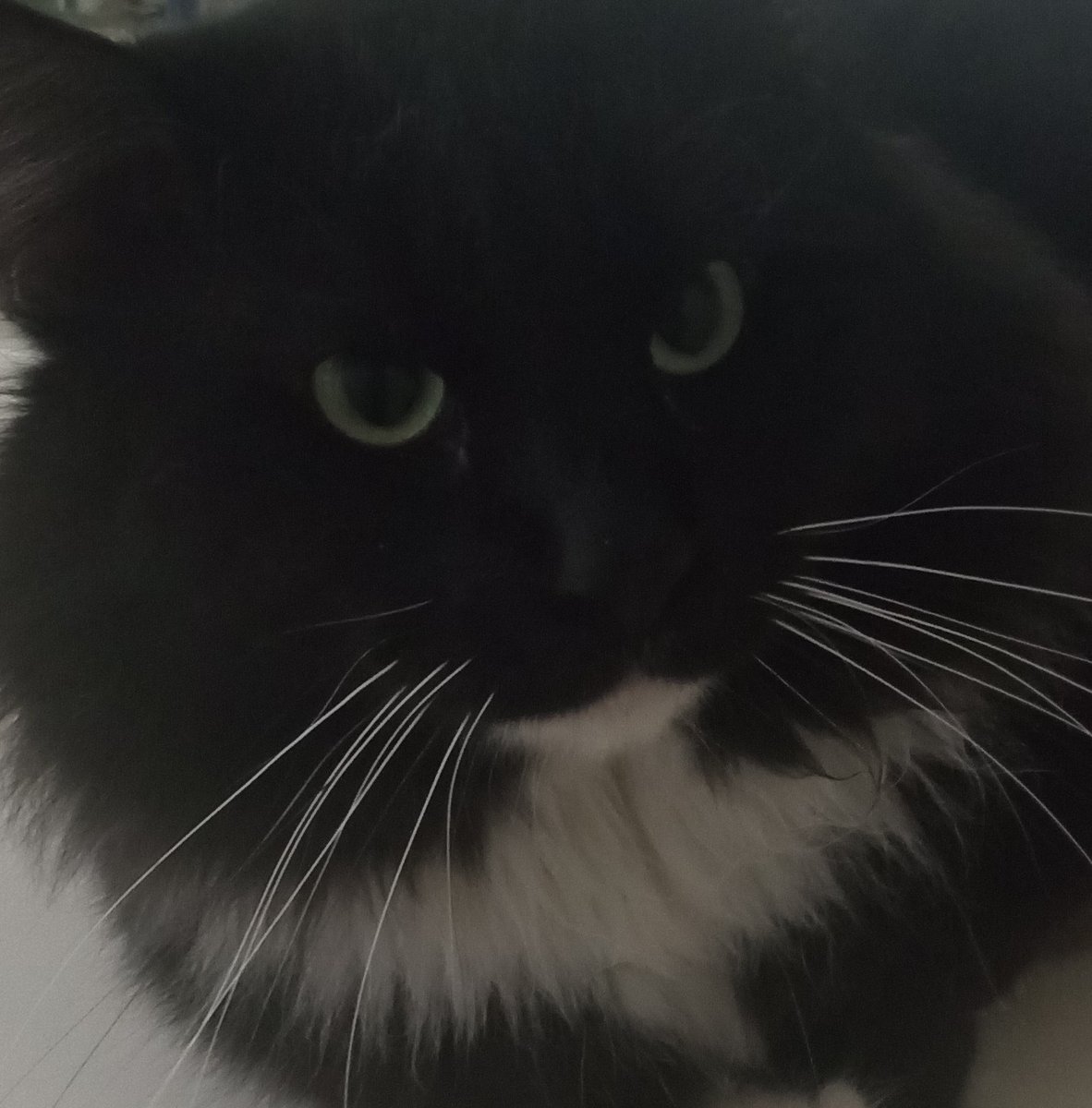 Cj 🌵 Arizona tweet media