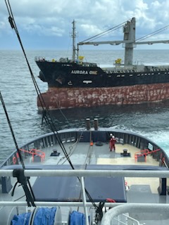 Préfecture maritime et commandement en chef ATLANT tweet media