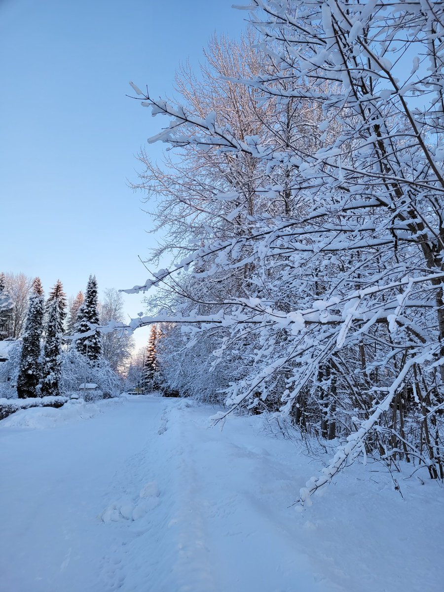 Frosty cold walk. Feels like -25C. SE Finland❄️🇫🇮