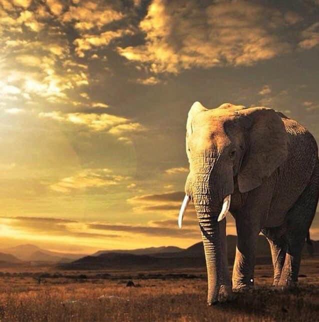 Holly_Lawson713's tweet image. Start walking!!! #J13Loading 🔥⭐️