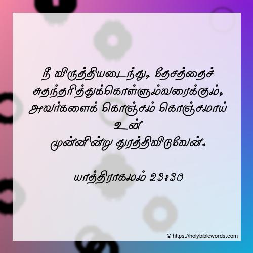 LivingWord7th's tweet photo. யாத்திராகமம் 23:30 நீ விருத்தியடைந்து, தேசத்தைச் சுதந்தரித்துக்கொள்ளும்வரைக்கும், அவர்களைக் கொஞ்சம் கொஞ்சமாய் உன் முன்னின்று துரத்திவிடுவேன்.
ஆமென்🙏
நன்றி ஏசப்பா🙏
#LifeWithJESUS https://t.co/NqglPxTUwe