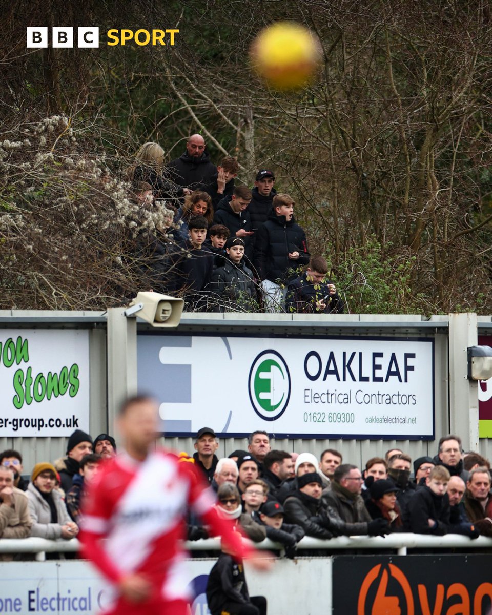 BBCMOTD's tweet photo. Maidstone United fans watching some #FACup football from the trees 🌳 https://t.co/TyeBZJJQhQ