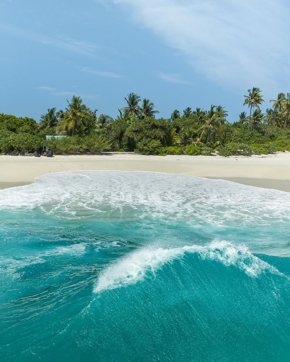 visitmaldives's tweet photo. Each wave tells tales of tranquility in the Maldives 
📷: @eshan921
📍: Fuvahmulah

#WorldLeadingDestination2023 #VisitMaldives #SunnySideofLife https://t.co/aP4idTCjEZ