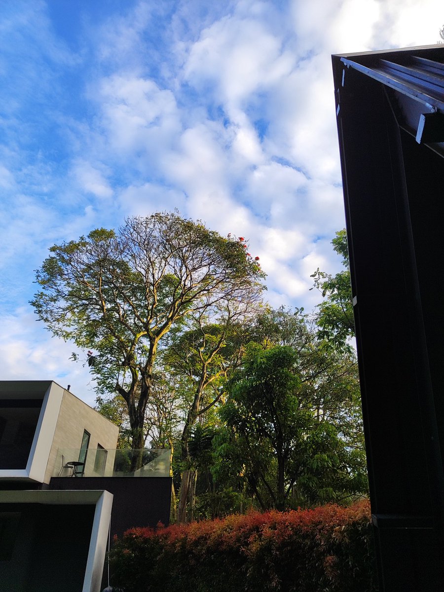 edoariy tweet picture