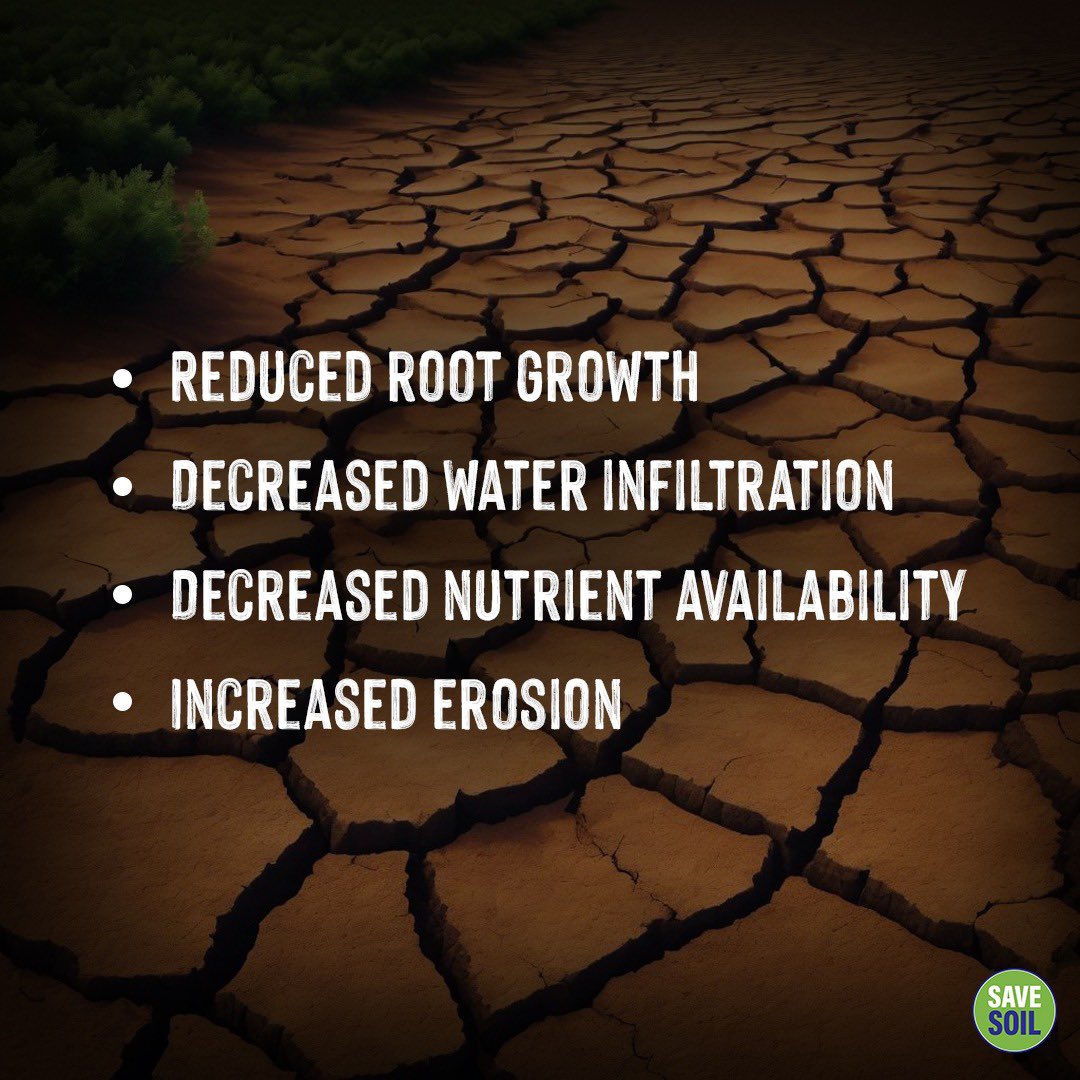 cpsavesoil's tweet image. Soil compaction may seem subtle, but its impact on #soilhealth is profound. It reduces the porosity and pore space, creating a tough barrier for roots, limiting their access to vital 💧water and nutrients. What causes soil compaction? Factors like heavy machinery, overgrazing,