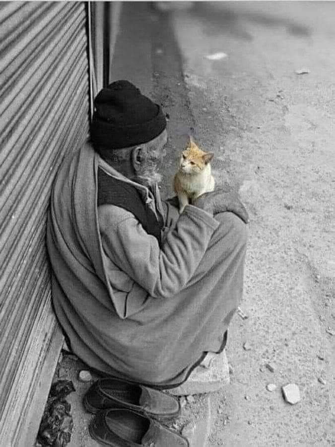 Hararet nardadır sacda değil
Keramet baştadır taçda değil
Ne ararsan kendinde ara
Kudüs de, Mekke'de Hacda değil...🌹

#HacıBektaşiVeli