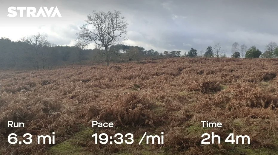 ZhepzyMudRunner's tweet image. Another beautiful day! I stopped a few times to build cairns and talk to cows, I see Strava auto-stop isn&apos;t working 🙄🤣
#TWC #TwittaWinterChallenge #SonicWinterSprinters
