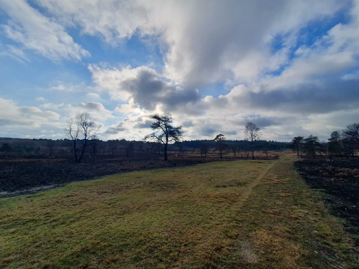 ZhepzyMudRunner's tweet image. Another beautiful day! I stopped a few times to build cairns and talk to cows, I see Strava auto-stop isn&apos;t working 🙄🤣
#TWC #TwittaWinterChallenge #SonicWinterSprinters