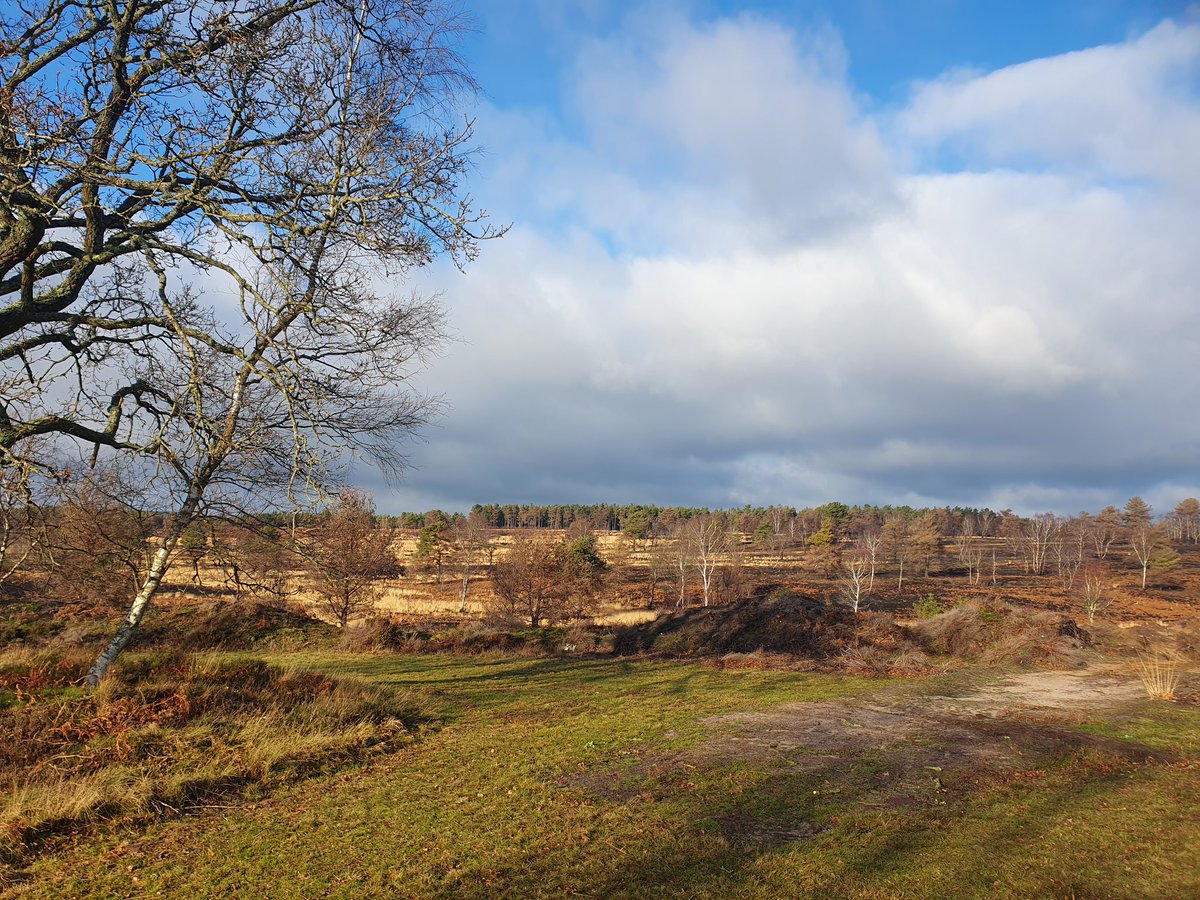 ZhepzyMudRunner's tweet image. Another beautiful day! I stopped a few times to build cairns and talk to cows, I see Strava auto-stop isn&apos;t working 🙄🤣
#TWC #TwittaWinterChallenge #SonicWinterSprinters