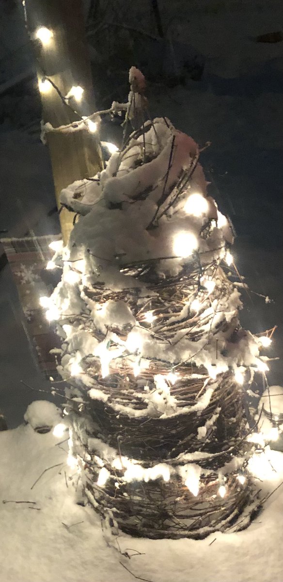 Coltzqueen4ev's tweet image. What a birthday gift looking outside at this gorgeous snow!!! Now BLUE crush’em football vibes going to my COLTS for a victory today!! 
I can just hear my Dad now ..
🏈💙🤍
#GameDay #LetsGoColts #GetItDone #HeavenIsPumped #ColtzqueenStoked