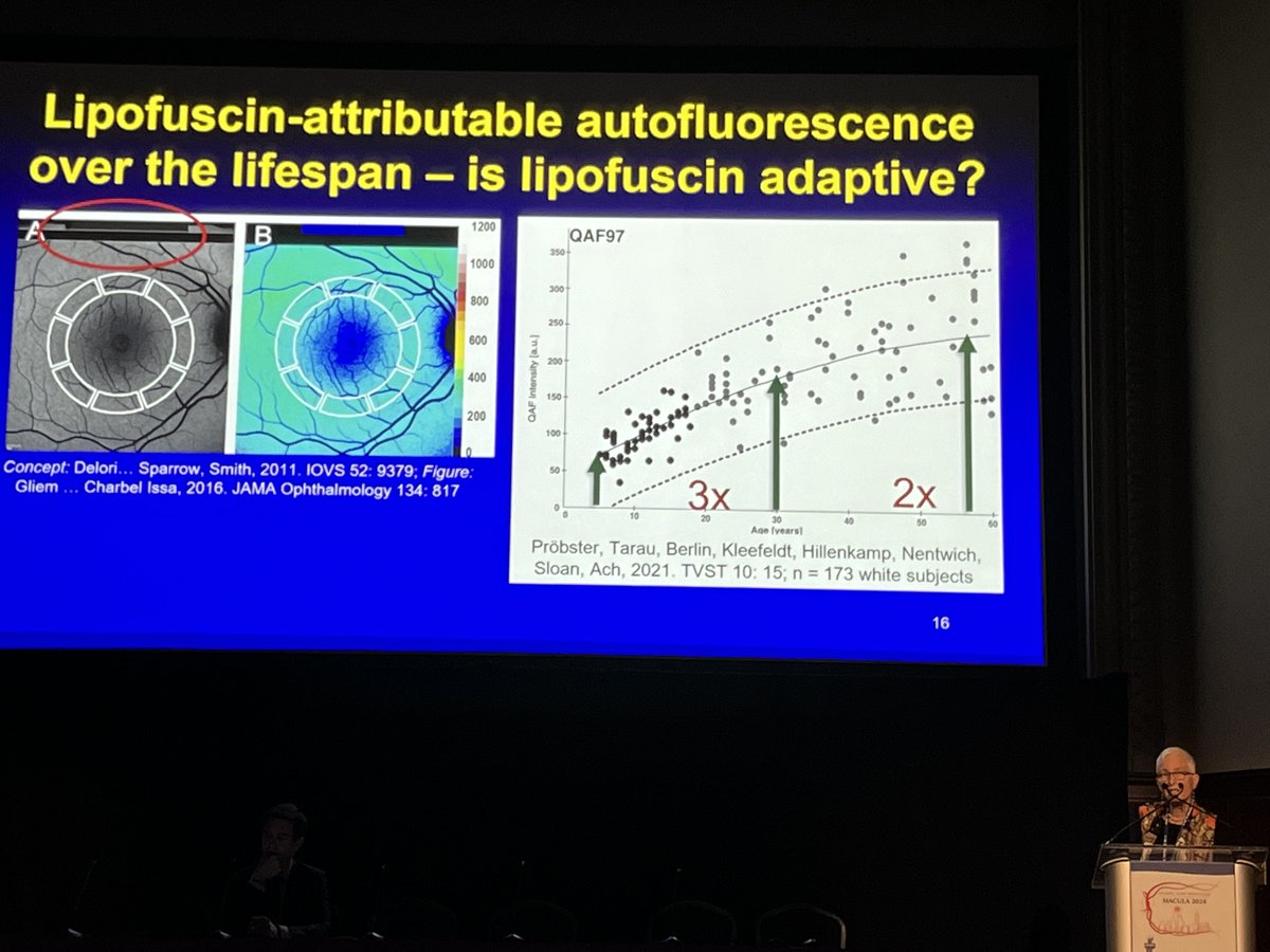 Christine A. Curcio, PhD, adds to our understanding of RPE lipofuscin and autofluorescence. Perhaps RPE lipofuscin/fluorophores are essential, regulated components of retinoid balance? #ACRC2024 #Retina #Macula2024