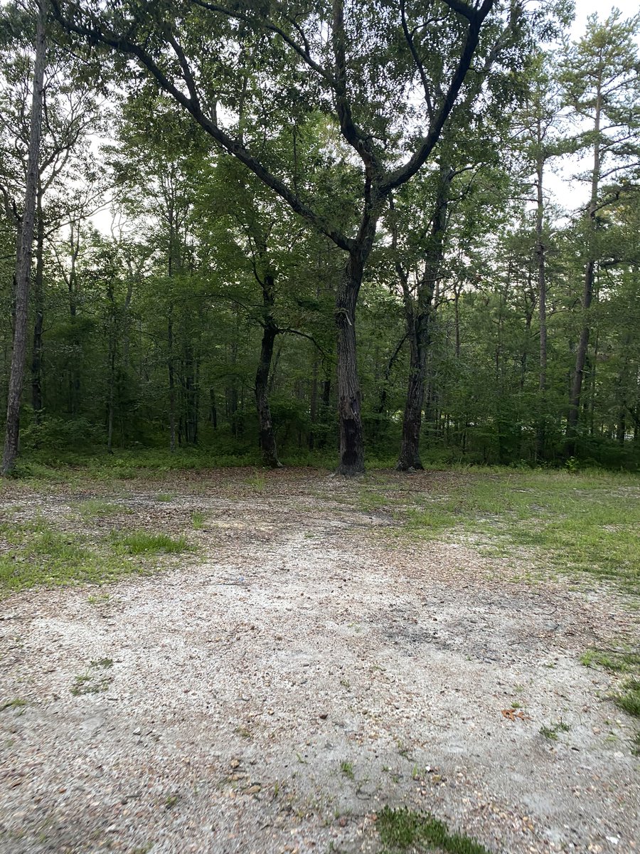 SpookyAppalach1's tweet photo. Photos from Devil's Tramping Ground located in in Bear Creek NC. We've got a brand new Spooky Sight Seeing video from this location up on our channel.

https://t.co/uLnHpbY2cb

#creepylocation #appalachia #northcarolina #hauntedlocaiton #NorthCarolina https://t.co/Xmqouj5djB