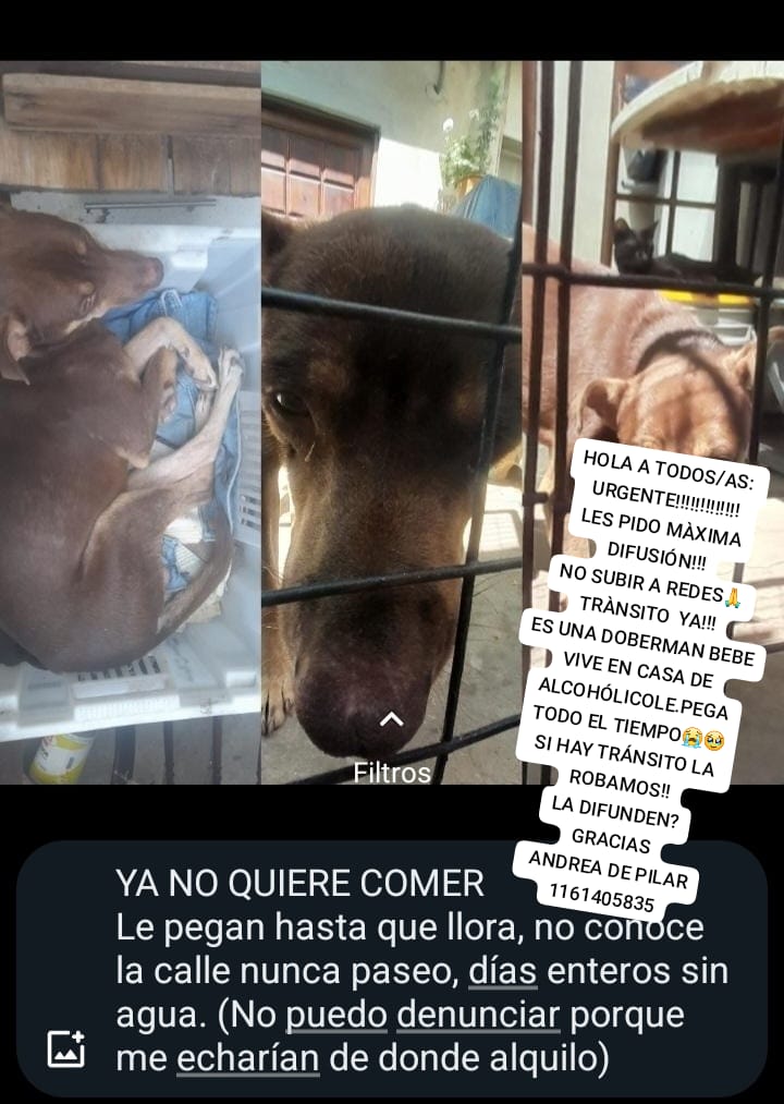 patripeyrou's tweet photo. Difundimos https://t.co/d8SrGBGYOQ