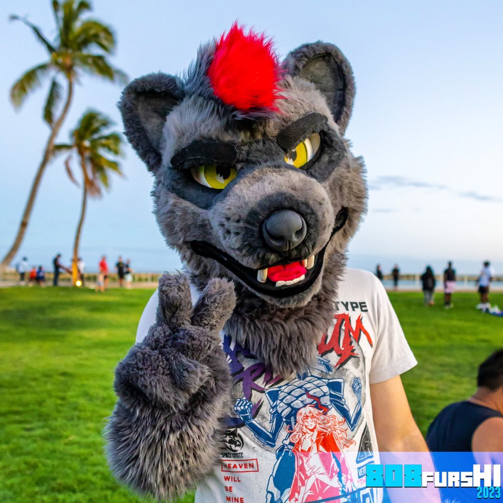808FursHI's tweet photo. Furries at the market :3
01 + 02 + 03
#808FursHI #808Furs #HawaiiFur #Fursuit #Fursuiting #Furry #808FurryEvents #Hawaii #Day #Night #Outdoor #Oahu #NightMarket #FarmersMarket https://t.co/NQ2gHWp66R