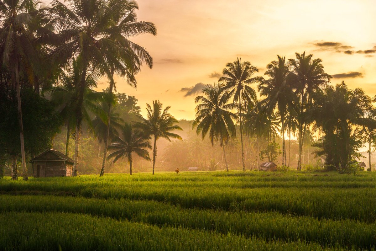rahmadhimawan1's tweet photo. Check link bio for download
#AlamStockFoto #KeindahanAlam #FotoAlamTerbaik #PemandanganIndah #StockFotoAlam #KaryaFotografi #NaturePhotography #ExploreAlam #GaleriFotoAlam #LanskapFoto https://t.co/NyUoqszzKW