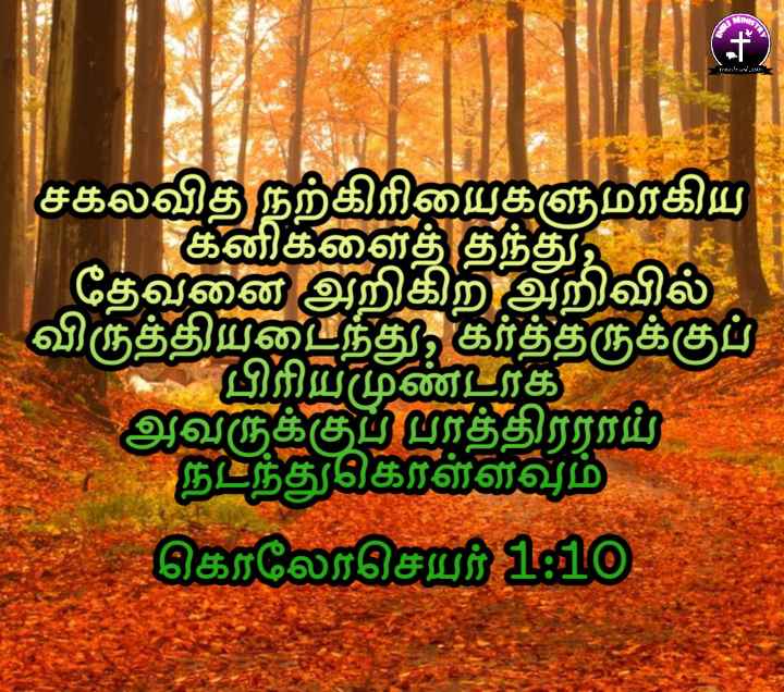 LivingWord7th's tweet photo. கொலோசெயர் 1:10
சகலவித நற்கிரியைகளுமாகிய கனிகளைத் தந்து, தேவனை அறிகிற அறிவில் விருத்தியடைந்து, கர்த்தருக்குப் பிரியமுண்டாக அவருக்குப் பாத்திரராய் நடந்துகொள்ளவும்,
ஆமென்🙏
நன்றி ஏசப்பா🙏
#LifeWithJESUS https://t.co/m3s1fL6tgR