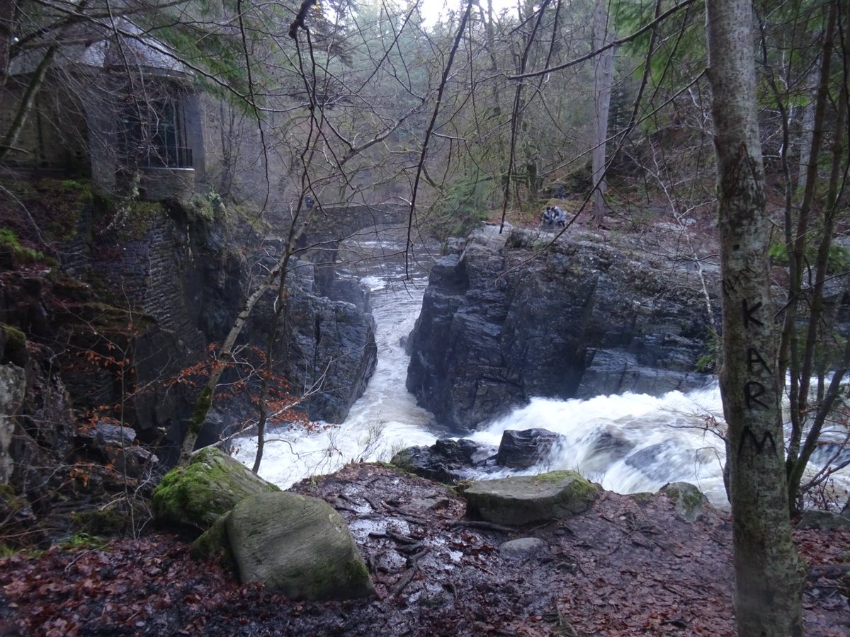 ZooStephen's tweet image. What a beautiful winter morning ❄️🏴󠁧󠁢󠁳󠁣󠁴󠁿🌞 #Hermitage #TayForest &amp;amp; pine cone view #Perthshirebigtreecountry 
@PKCTrust @N_T_S @ForestryLS @VisitScotland