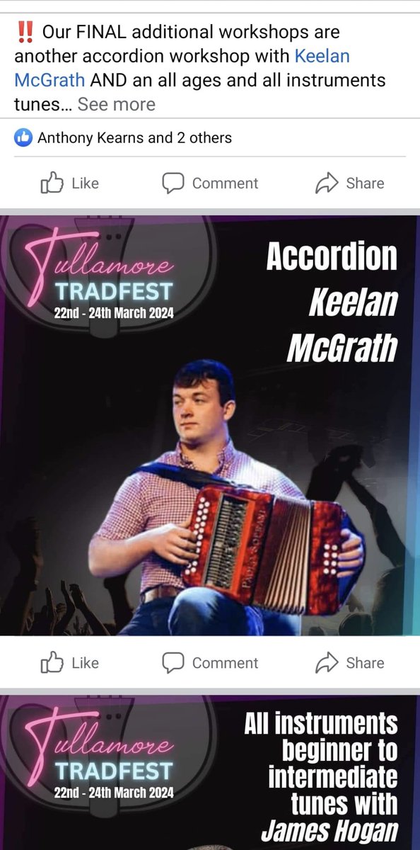 Tullamore TradFest tweet media