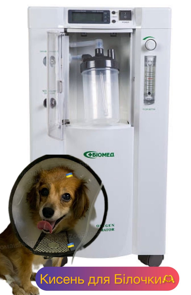 ‼️Наші найкращі люди‼️
🆘 Треба вашої підтримки 🆘
У звʼязку з тим,що щодня Білочка потребує кисню,ми купуємо концентратор!(без нього вона задихається)🙏

🎯 10 900грн

send.monobank.ua/jar/896wawAHYT
5375411212244367

**Залишилось 2400 і ми зможемо купити важливий апарат для Білочки🙏