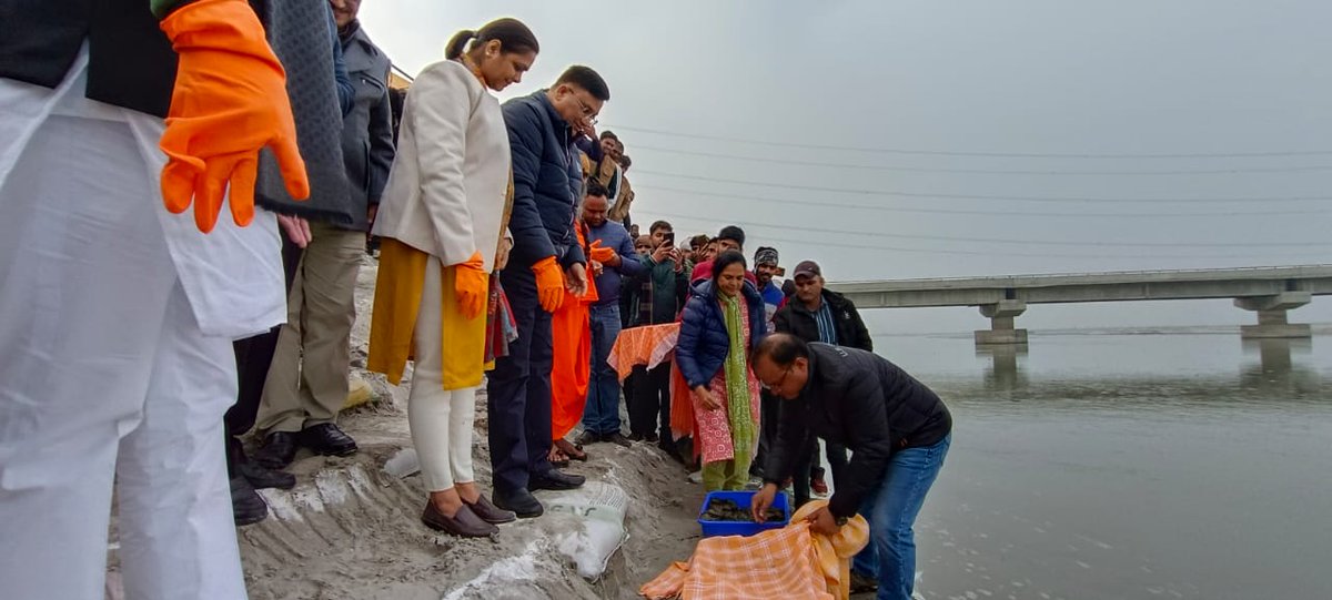 DfoAligarh's tweet photo. आज  साकरा गंगा घाट अलीगढ़ पर कछुआ विमोचन कार्यक्रम में श्रीमती मीनू राणा अपर जिलाधिकारी अलीगढ़ के साथ गंगा नदी में नर्सरी से छोटे कछुए के बच्चों को छोड़ा गया। @UpforestUp @UPGovt @ChiefSecyUP @Dm_Aligarh @AligarhCdo @diooffice371 https://t.co/K4PlcnFEF2