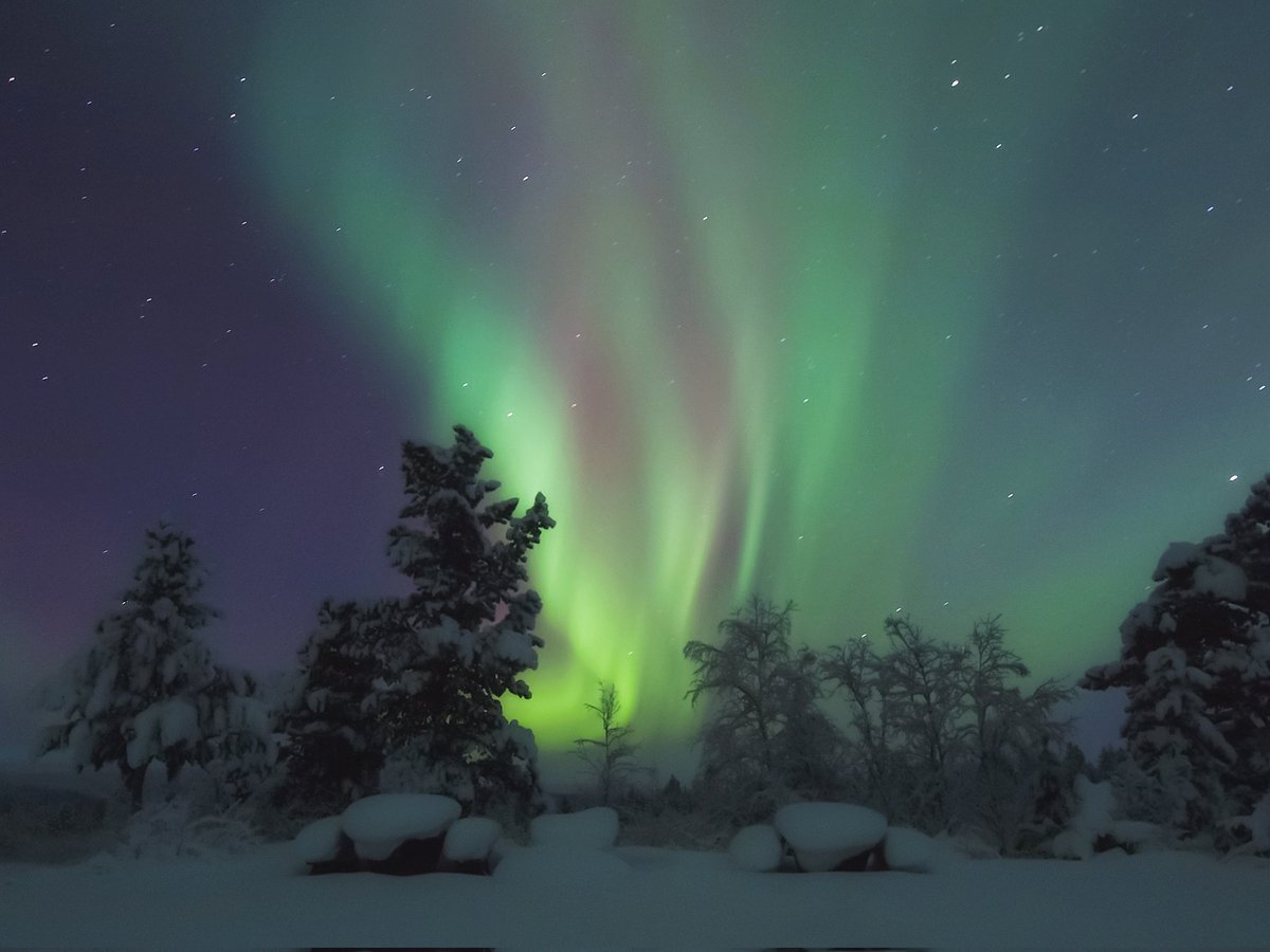 In honor of my birthday, here's my first aurora photo. Jumping up and down with excitement after a lot of trial and error one cold night in Kiruna years ago. Have a great day friends!