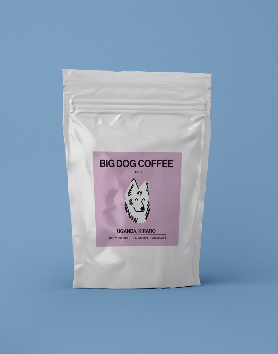 STUDIO HICKS tweet media