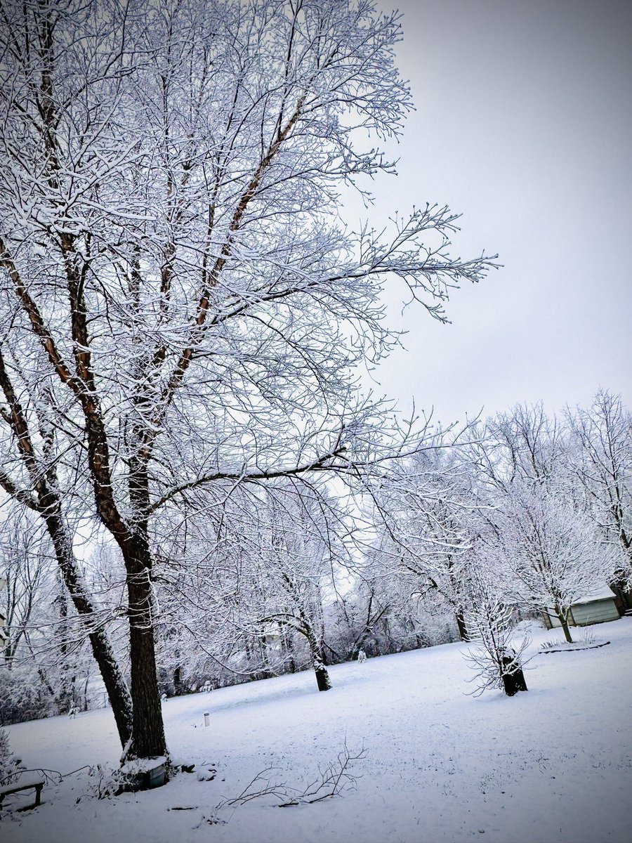 Nikki Privett tweet media