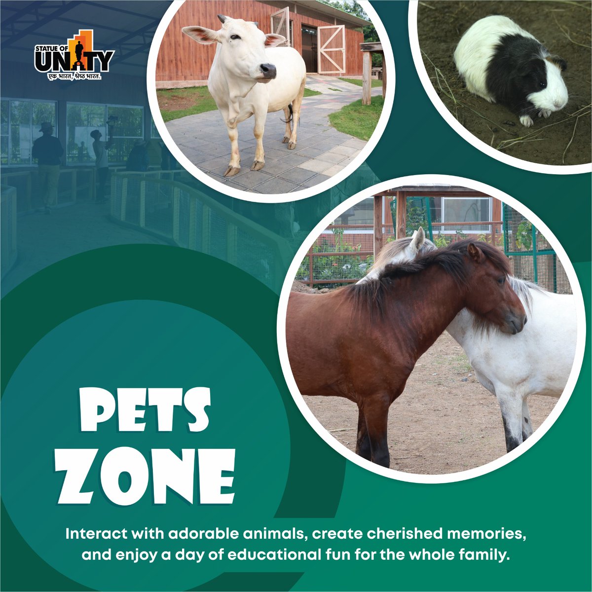 souindia's tweet photo. Ready for a paw-some adventure at the #PetsZone, just across from #JungleSafari in #StatueOfUnity!
Get ready for heartwarming moments, create memories, and dive into a day of family-friendly fun.
Fluffy friends await your visit! https://t.co/KO6OwFdxBA