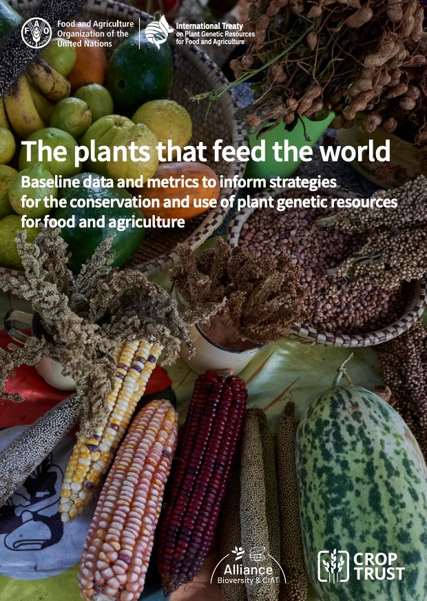 'The Plants That Feed the World' publication synthesizes the data of over 350 key crops and their genetic resources essential for ensuring the adequate conservation and use of these plant genetic resources for food and agriculture. Learn more ➡️ buff.ly/46PtMhd