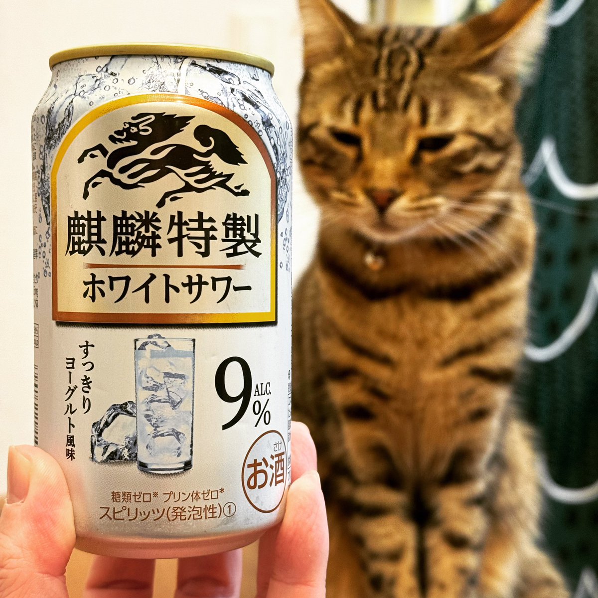 tomotomo419's tweet photo. うちにかえって飲み直し😆 https://t.co/bFy5GcXKik