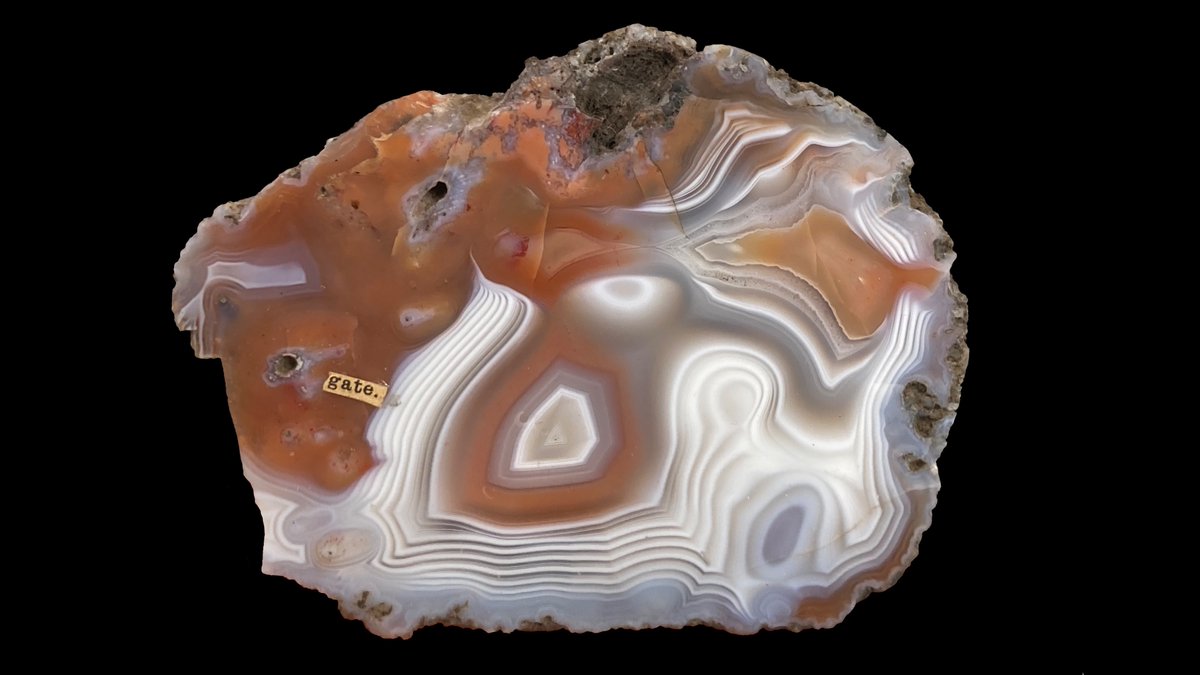 10th January 2024 — Perthshire