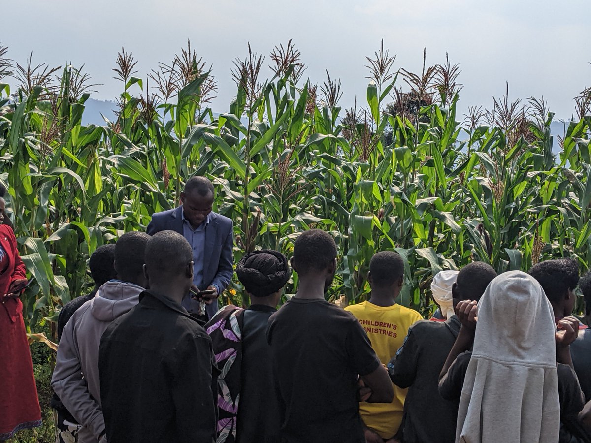 Kisarotss's tweet photo. Ku wa 06/01/2024 muri KISARO TSS habereye igikorwa  cya Open day "Nanjye ndi TVET" Gushishikariza urubyiruko kwitabira amashuri ya Tekinike Imyuga n'ubumenyi ngiro @KisaroSector @NESA_Rwanda @rulindodistrict @RTB_Rwanda @Rwanda_Edu https://t.co/ZwXwgqfZVF