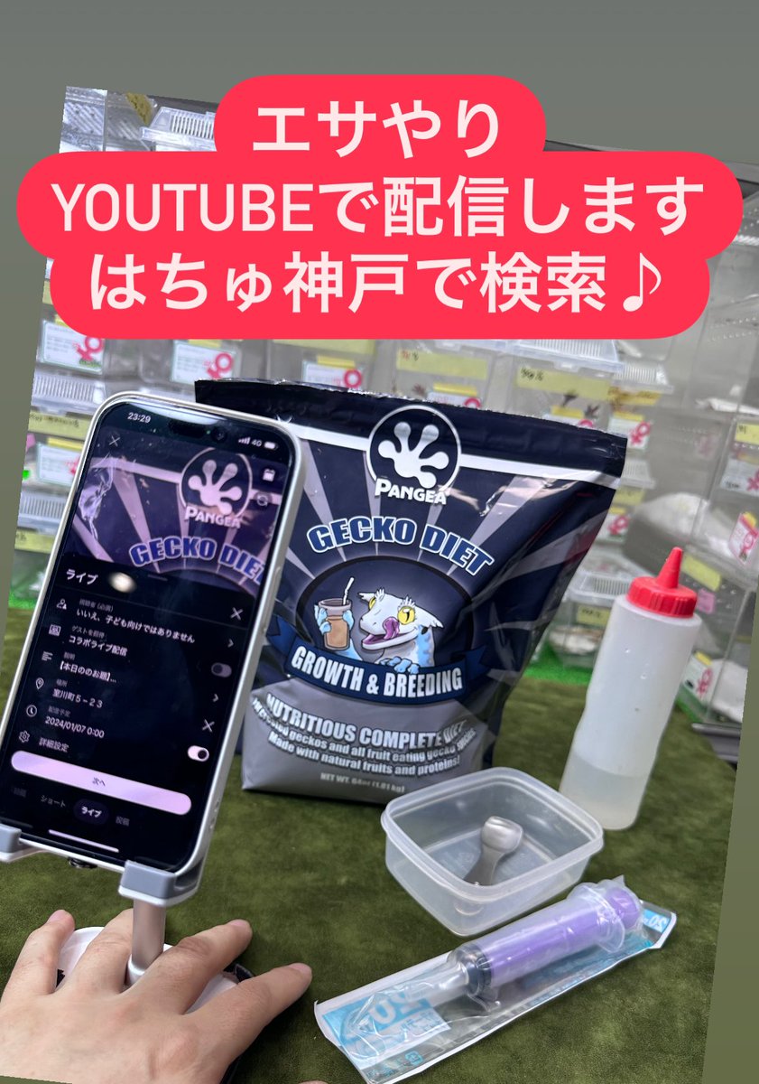 kobehachu's tweet photo. https://t.co/qem6noMofl https://t.co/Vr05n4Lxnp