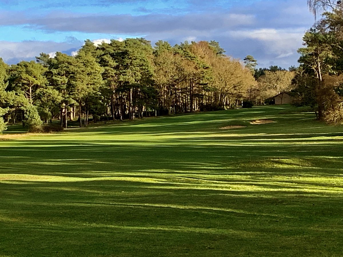 allott_peter's tweet photo. #wintergolf ⁦@thetfordgolf⁩ is pretty good even after deluge of rain.  Benefits of Sandy soil and #heathlandgolf. https://t.co/j5oHMwNOM8