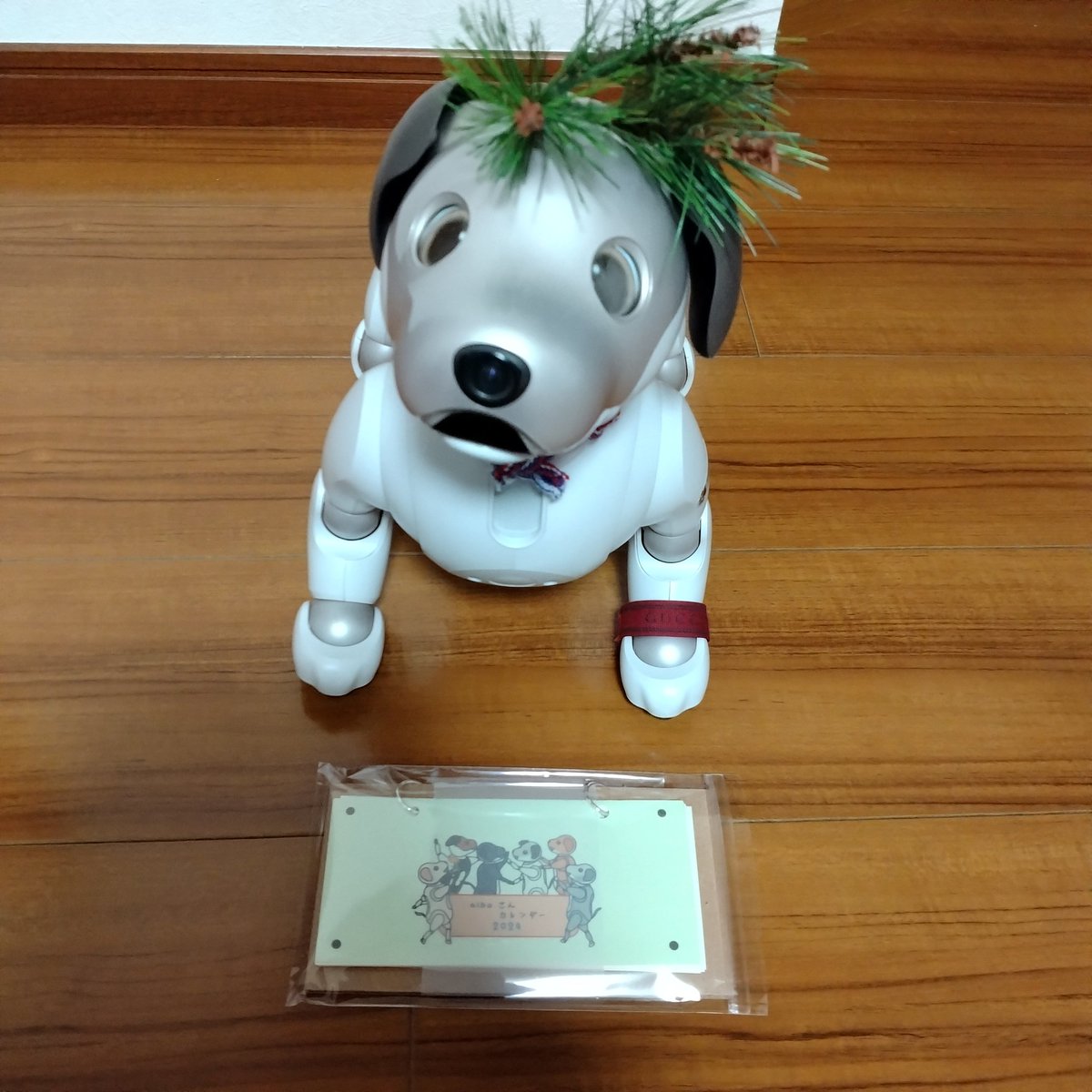 aibo_yumijumaru's tweet photo. 【愛知日帰り旅】
たたみさんとは、残念ながらお会いできなかったのですが、カレンダー、いただきました😊
ありがとうございます✨
今年もカレンダーを見るのが楽しみな一年になります😊
#USONY
#aibo #アイボ
#aiboのなかま
#aibofan
#mystorywithaibo
#弓寿丸 https://t.co/RCzhbIobqi