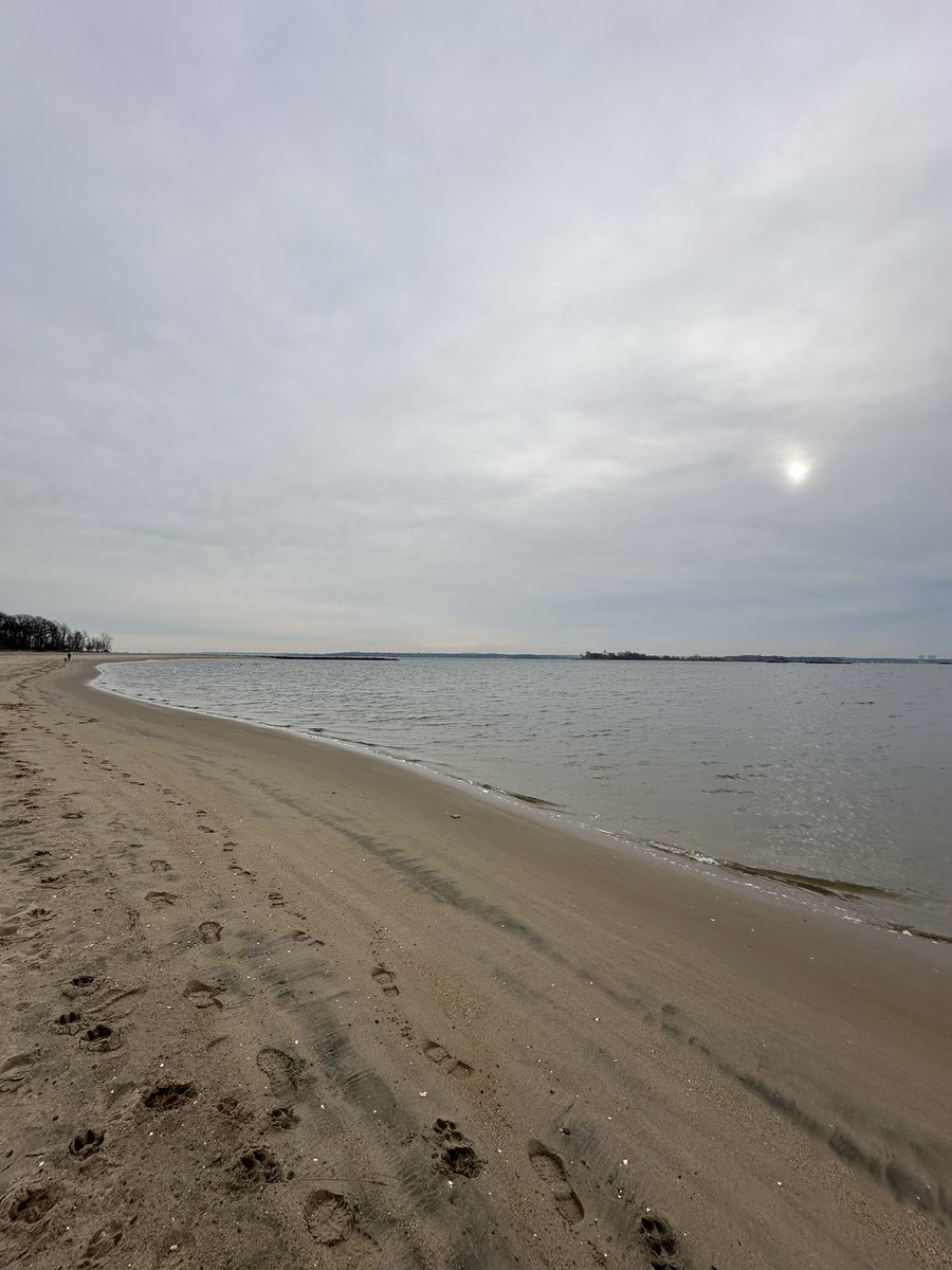 It’s a chilly day in the Bronx! #PelhamBayPark #birding #bronx