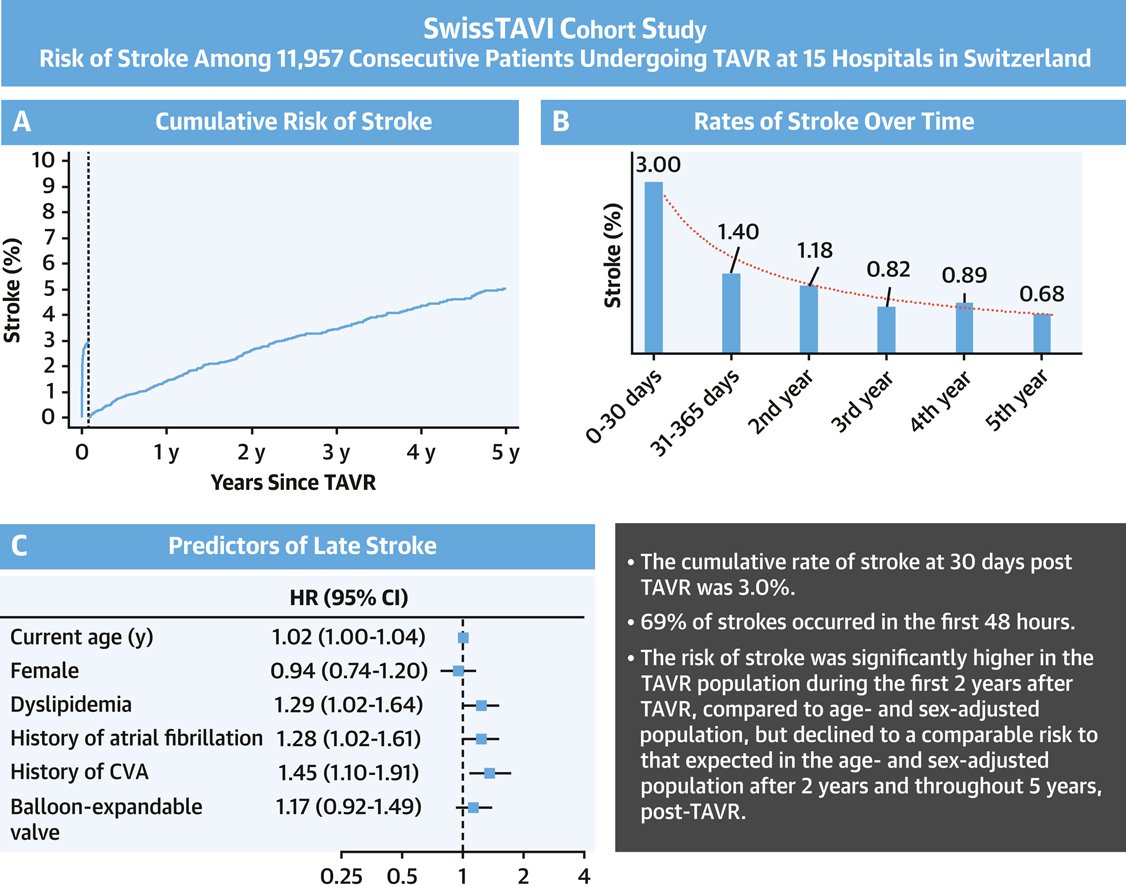 Bashir Alaour (@bashiralaour) on Twitter photo 1/2 "Compared to age- and sex-matched population, TAVR patients exhibit higher risk of stroke for up to two years post TAVR"
Delighted to share our work from the SwissTAVI registry
<a href="/StefanStortecky/">Stefan Stortecky</a> <a href="/taishiokuno/">Taishi Okuno</a> <a href="/ThomPilgrim/">Thomas Pilgrim</a> <a href="/SwissTavi/">SwissTAVI</a> <a href="/JACCJournals/">JACC Journals</a> doi.org/10.1016/j.jcin… 1/2 "Compared to age- and sex-matched population, TAVR patients exhibit higher risk of stroke for up to two years post TAVR"
Delighted to share our work from the SwissTAVI registry
<a href="/StefanStortecky/">Stefan Stortecky</a> <a href="/taishiokuno/">Taishi Okuno</a> <a href="/ThomPilgrim/">Thomas Pilgrim</a> <a href="/SwissTavi/">SwissTAVI</a> <a href="/JACCJournals/">JACC Journals</a> doi.org/10.1016/j.jcin…
