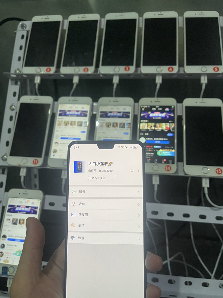 blued号🌈不撸帝满月老号出售 tweet media