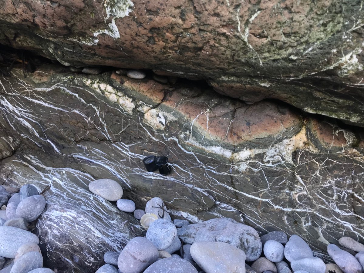 Sam Bright tweet media