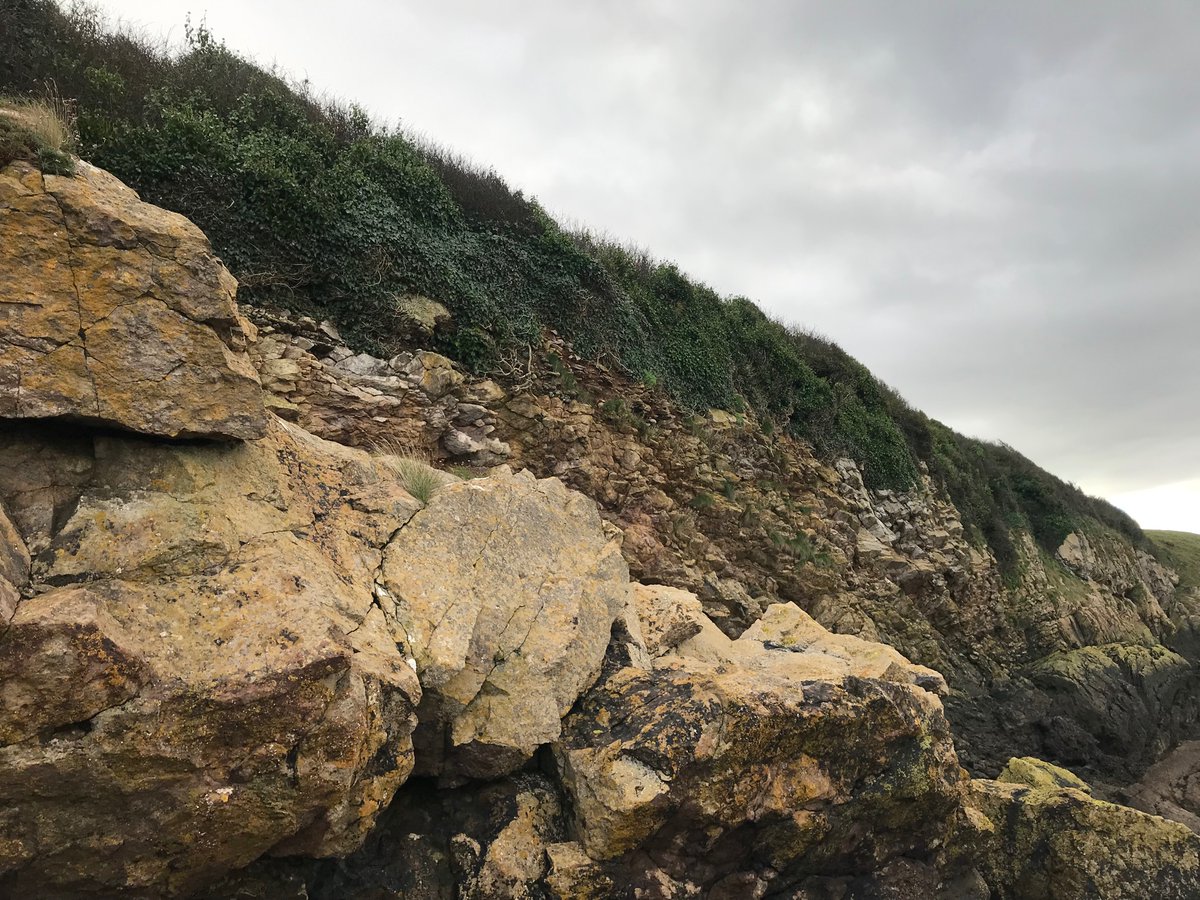 Sam Bright tweet media