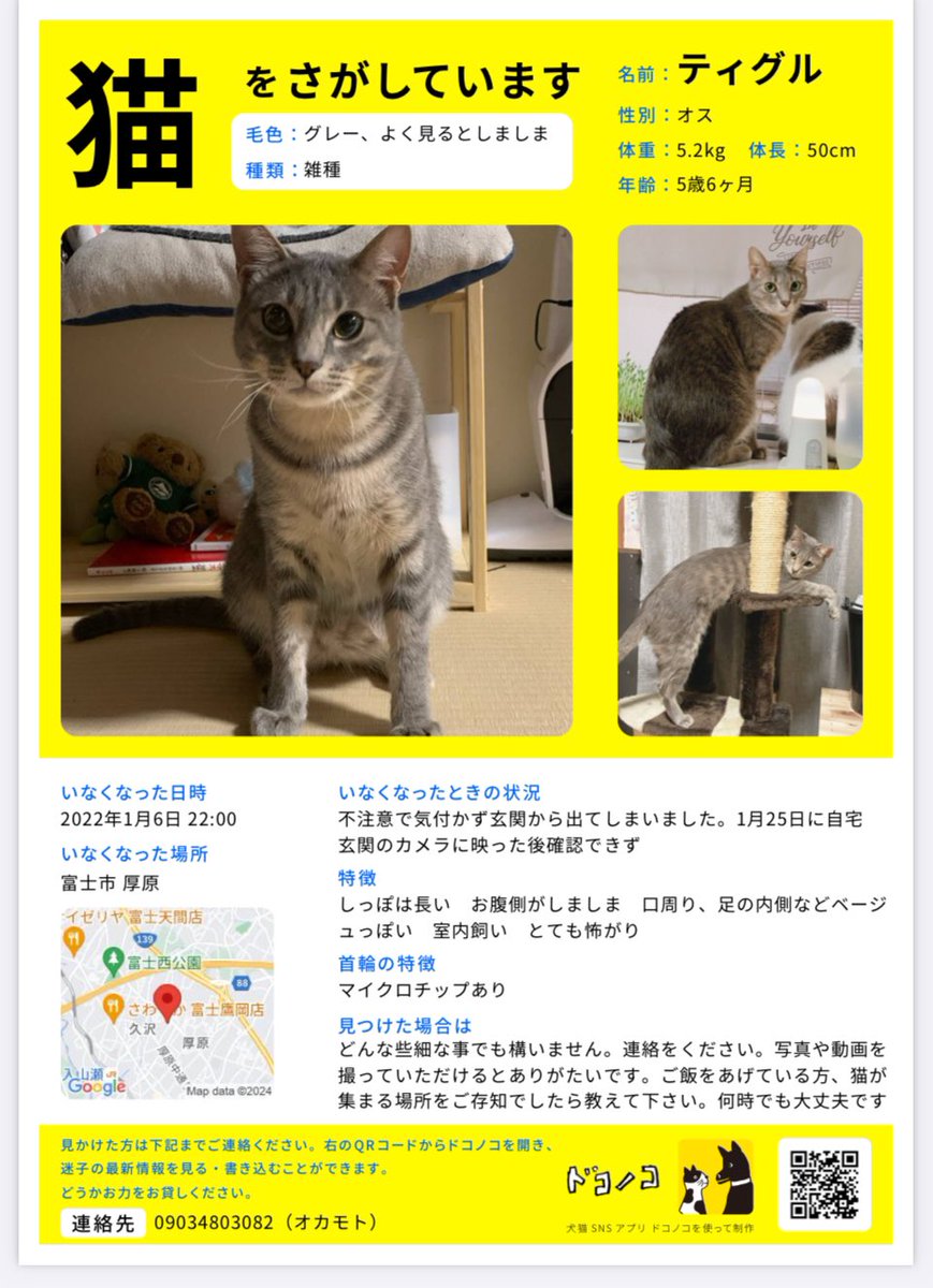 aikoneko8462355's tweet photo. 2022年1月6日から猫を諦めずにまだ探しています。どんな些細なことでもいいのでよろしくお願いします。写真や動画を撮っていただけるとありがたいです。餌やりさん、地域猫のお世話している人など教えて頂けると助かります。違っても構いません！#グレー猫　#灰色猫　#サバトラ　#迷子猫　#猫　#地域猫 https://t.co/a5C4xLl8mZ