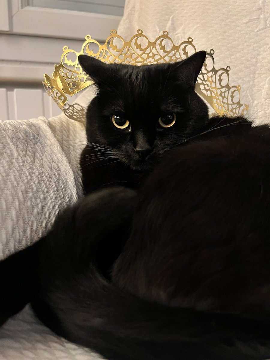 AureCasse's tweet photo. 👑 https://t.co/rn1mwCFQEU