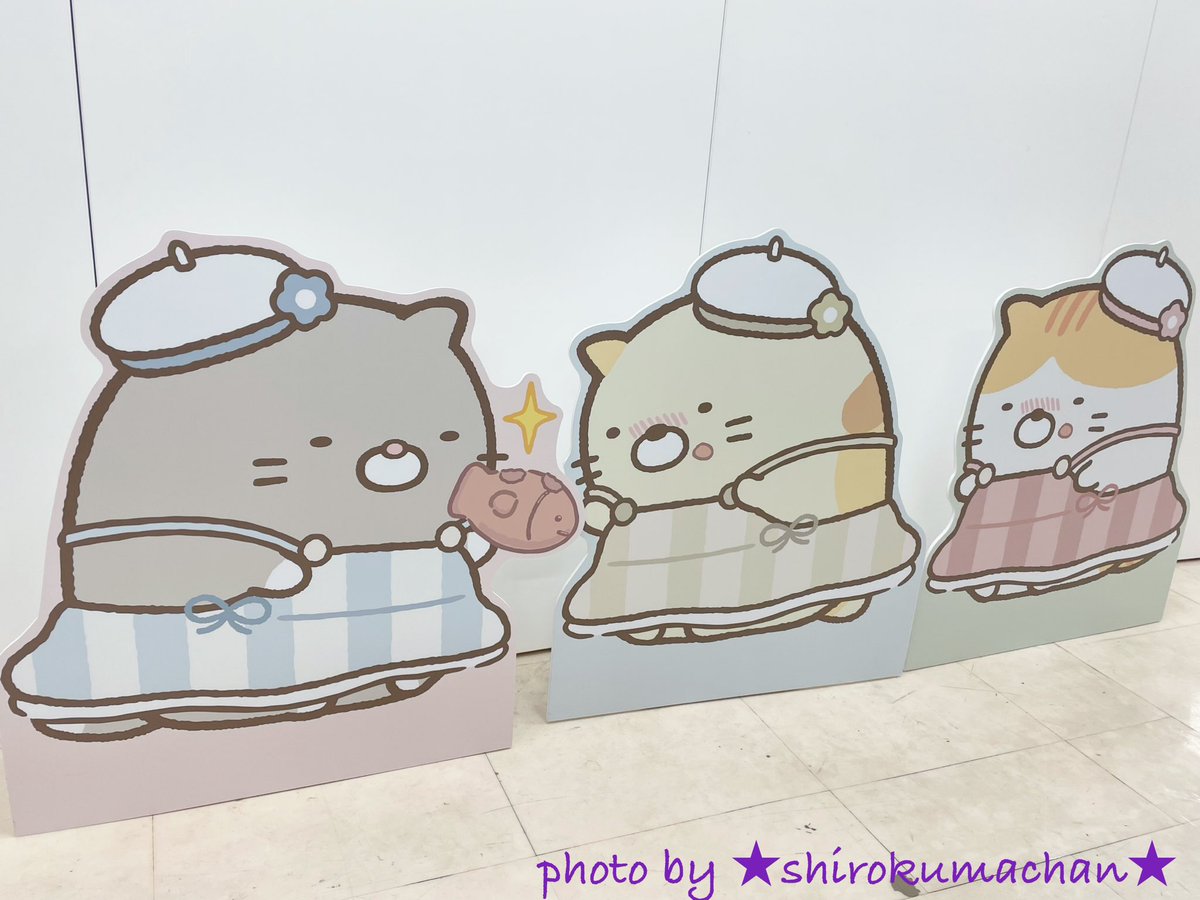 ⭐️しろくまちゃん⭐️ (@kuma_shiro_s) / Posts / X
