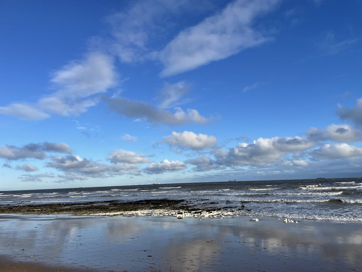 stephjones52's tweet photo. Beautiful beach walk @BotanyBay this morning. Freezing wind but worth it! https://t.co/sIWUStP0s0