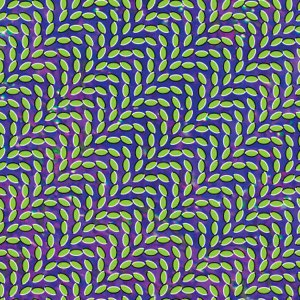 SimpsonsAlbums's tweet photo. Animal Collective- Merriweather Post Pavilion (2009) https://t.co/6OBMlGgK5S